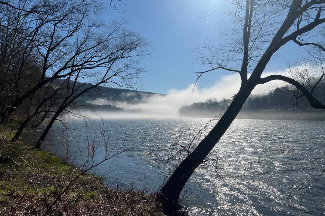 Photo of Others in Pond Eddy