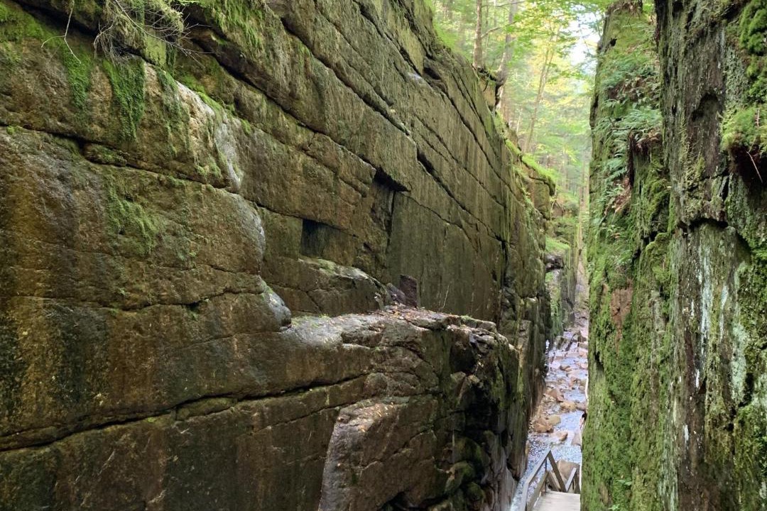 Photo of Others in Twin Mountain