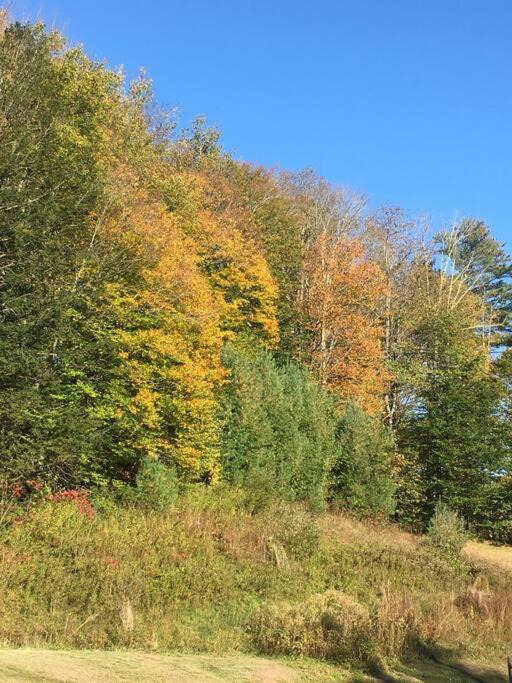 Photo of Others in Shandaken