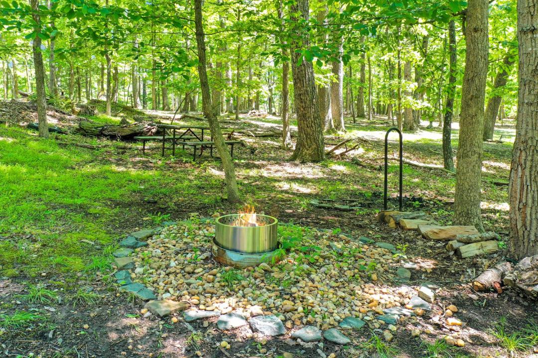 Photo of Others in The Woods