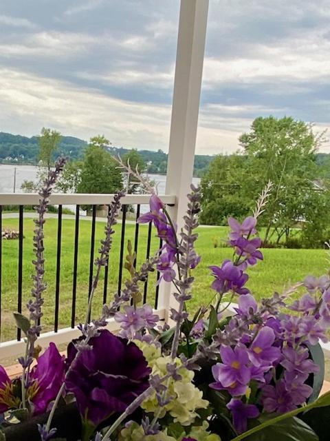 Photo of Patio Balcony in Newport