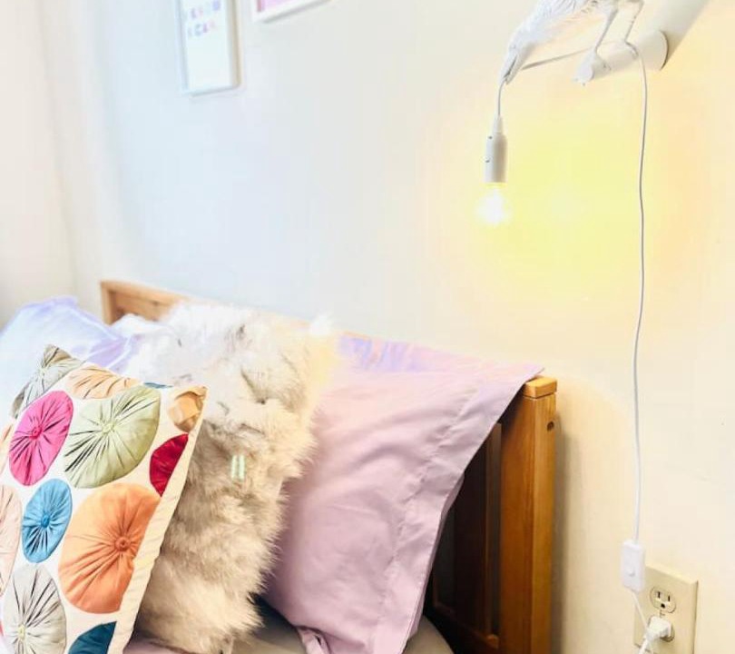Photo of Bedroom in Highmount
