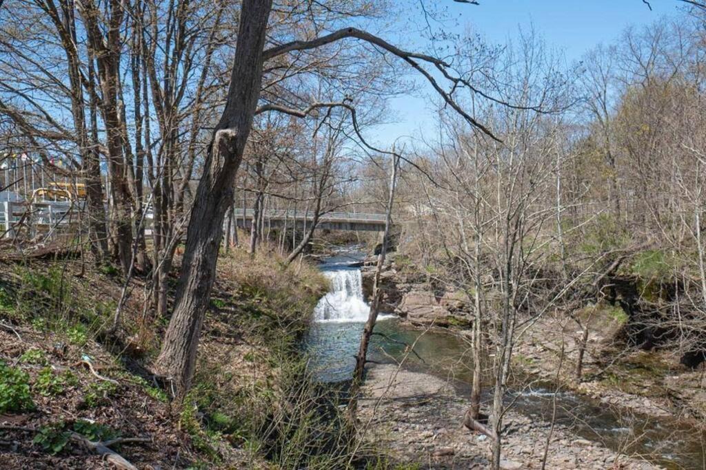 Photo of Others in East Durham