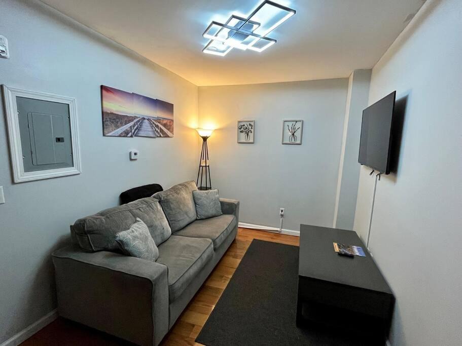Photo of Livingroom in Downtown Albany