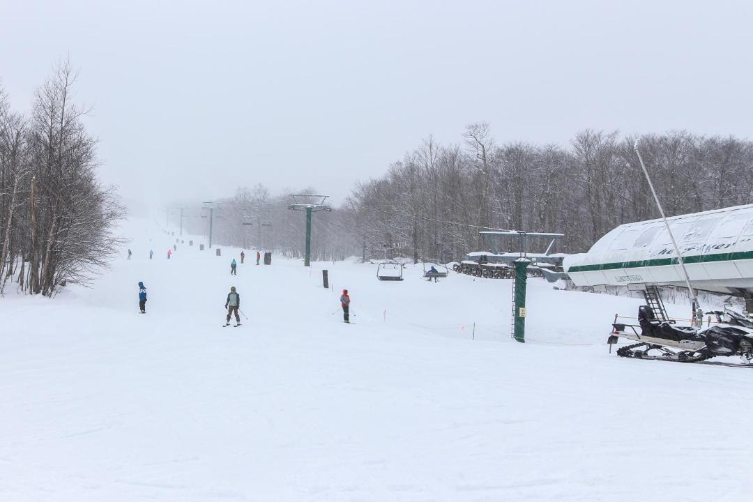 Photo of Others in North Troy