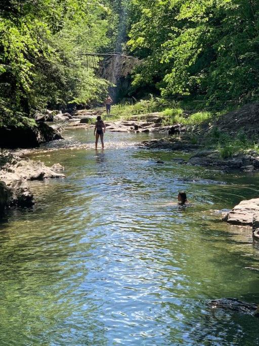 Photo of Others in Poultney