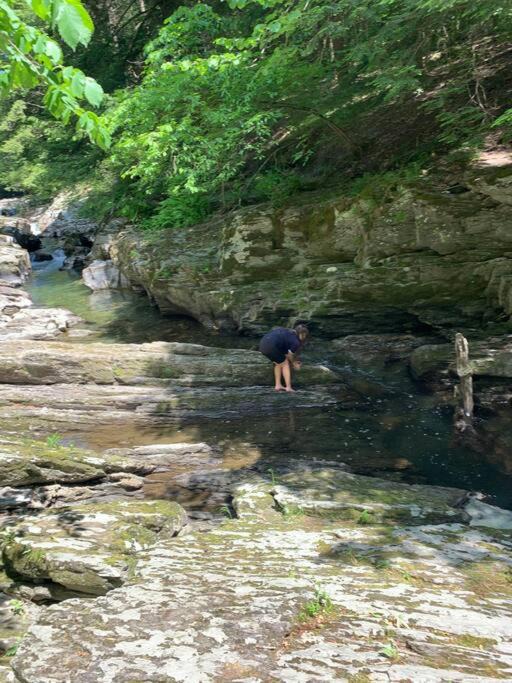 Photo of Others in Poultney
