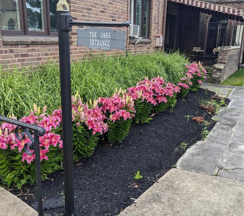 Photo of Outdoor in Jamestown