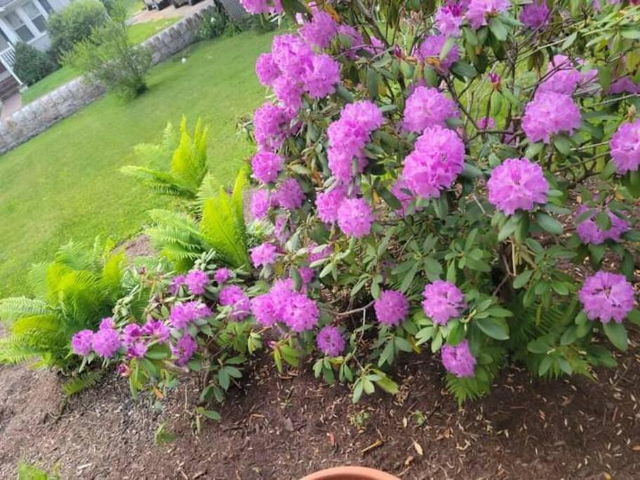 Photo of Outdoor in Wise