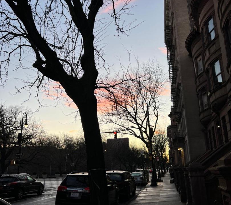 Photo of Others in Central Park North
