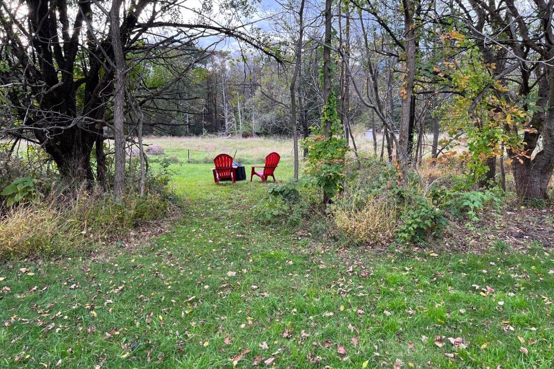Photo of Others in Saugerties
