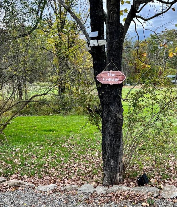 Photo of Others in Saugerties