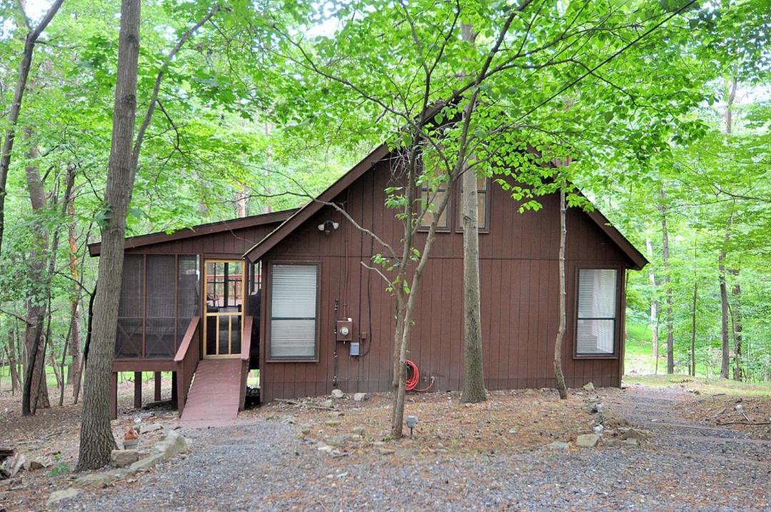Photo of Buildings in The Woods