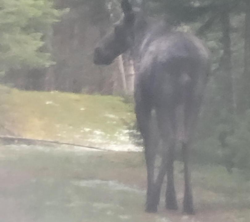Photo of Others in Stewartstown