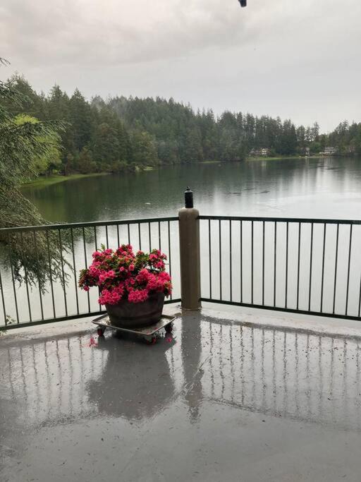 Photo of Others in Shelton
