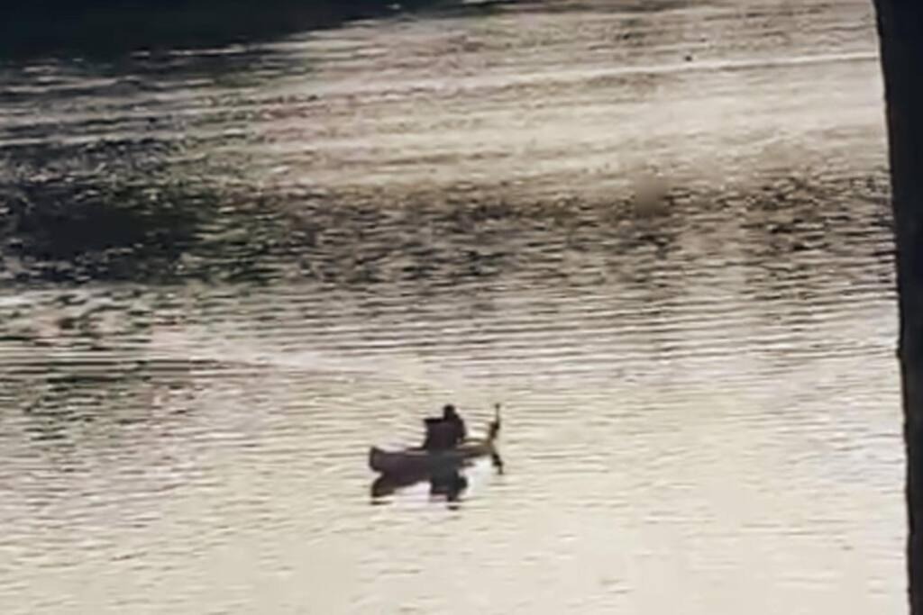 Photo of Others in Shelton