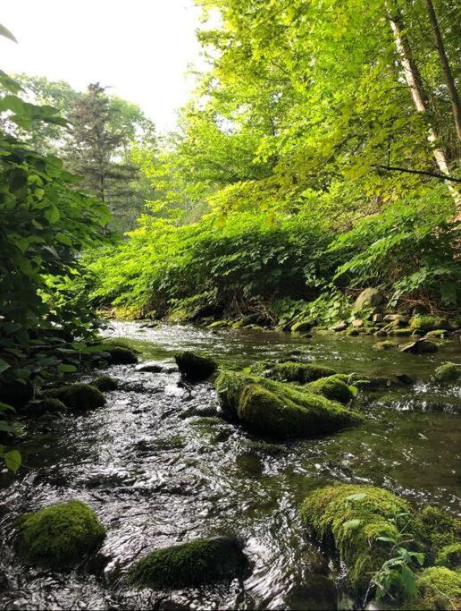 Photo of Others in Shandaken