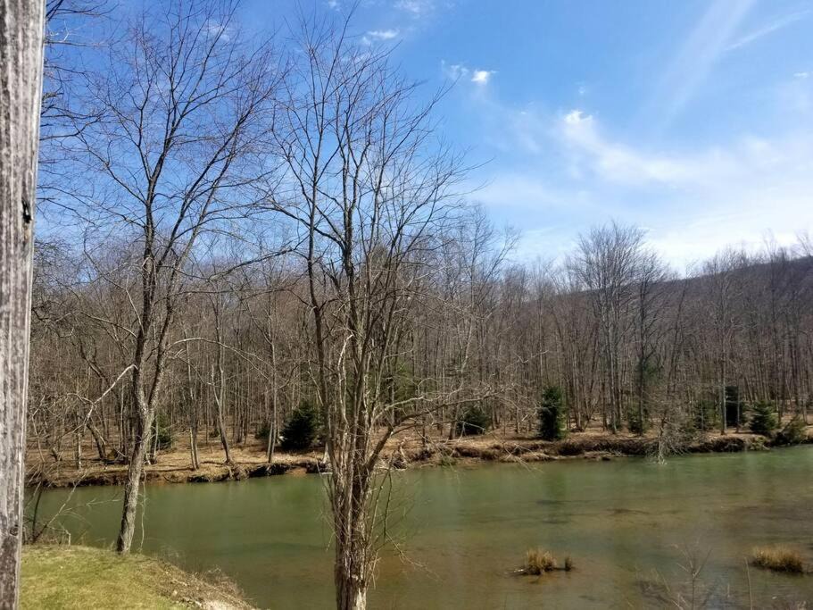 Photo of Others in Byrnedale