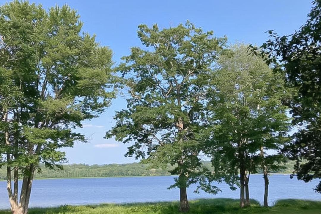 Photo of Outdoor in Union