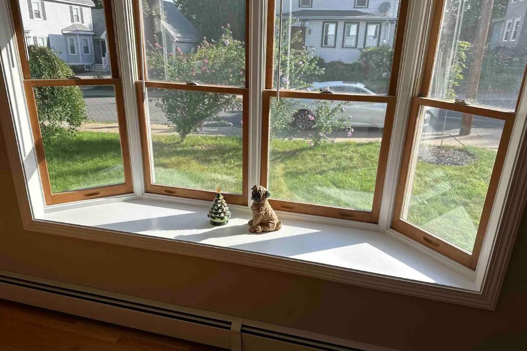 Photo of Others in West Roxbury