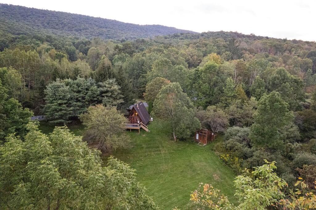 Photo of Outdoor in New Kingston