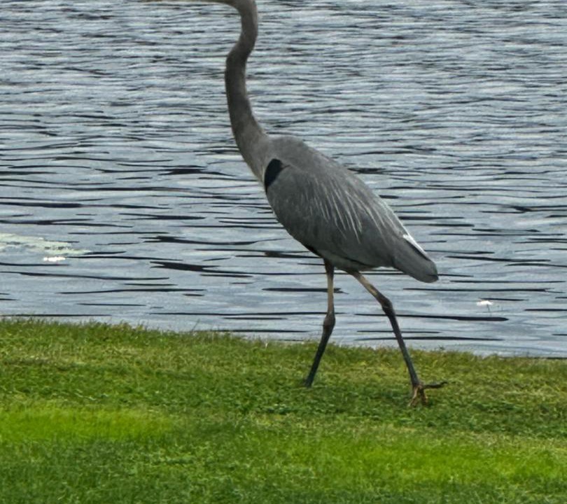 Photo of Others in Northwood