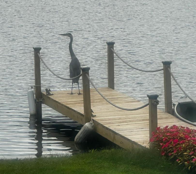 Photo of Others in Northwood