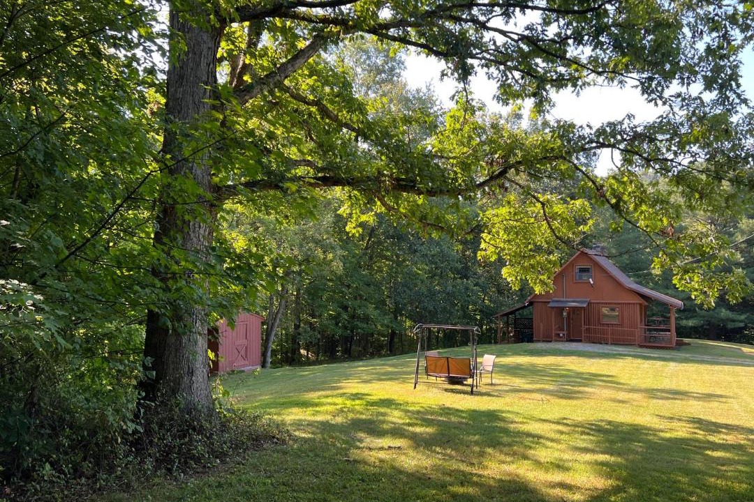 Photo of Others in West Columbia