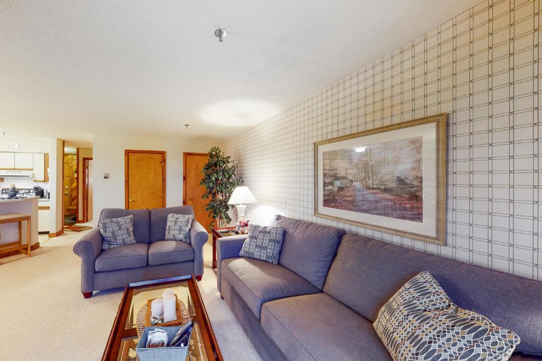 Photo of Livingroom in Stratton Mountain