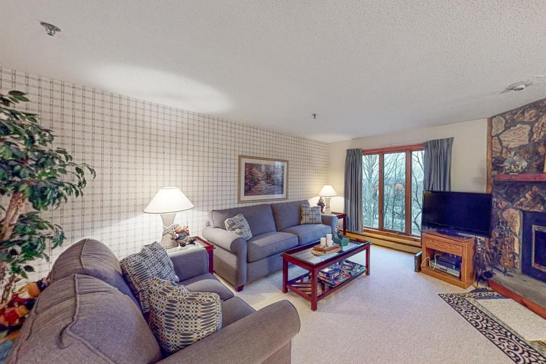 Photo of Livingroom in Stratton Mountain