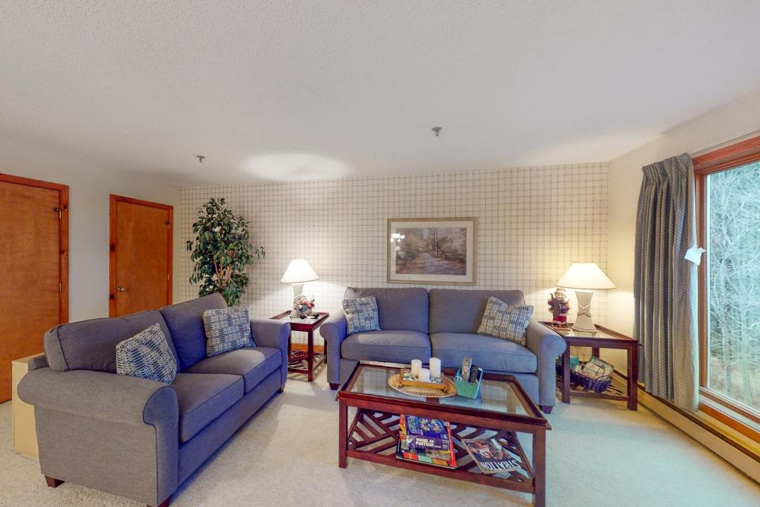Photo of Livingroom in Stratton Mountain