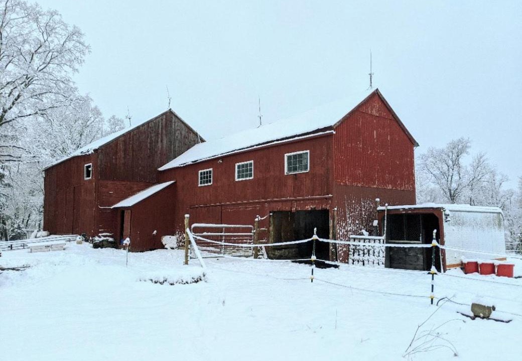 Photo of Others in Walden