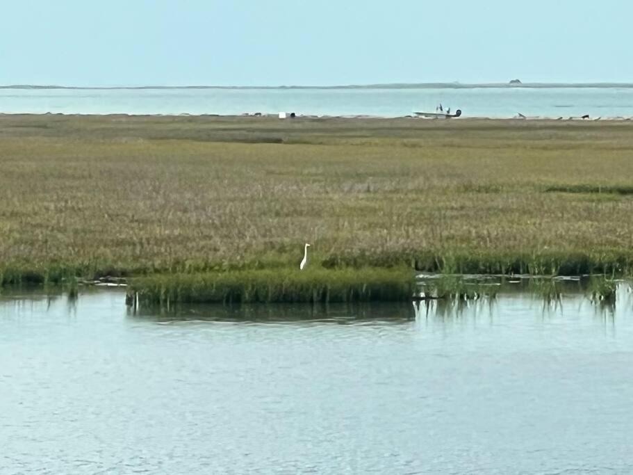 Photo of Outdoor in Galveston