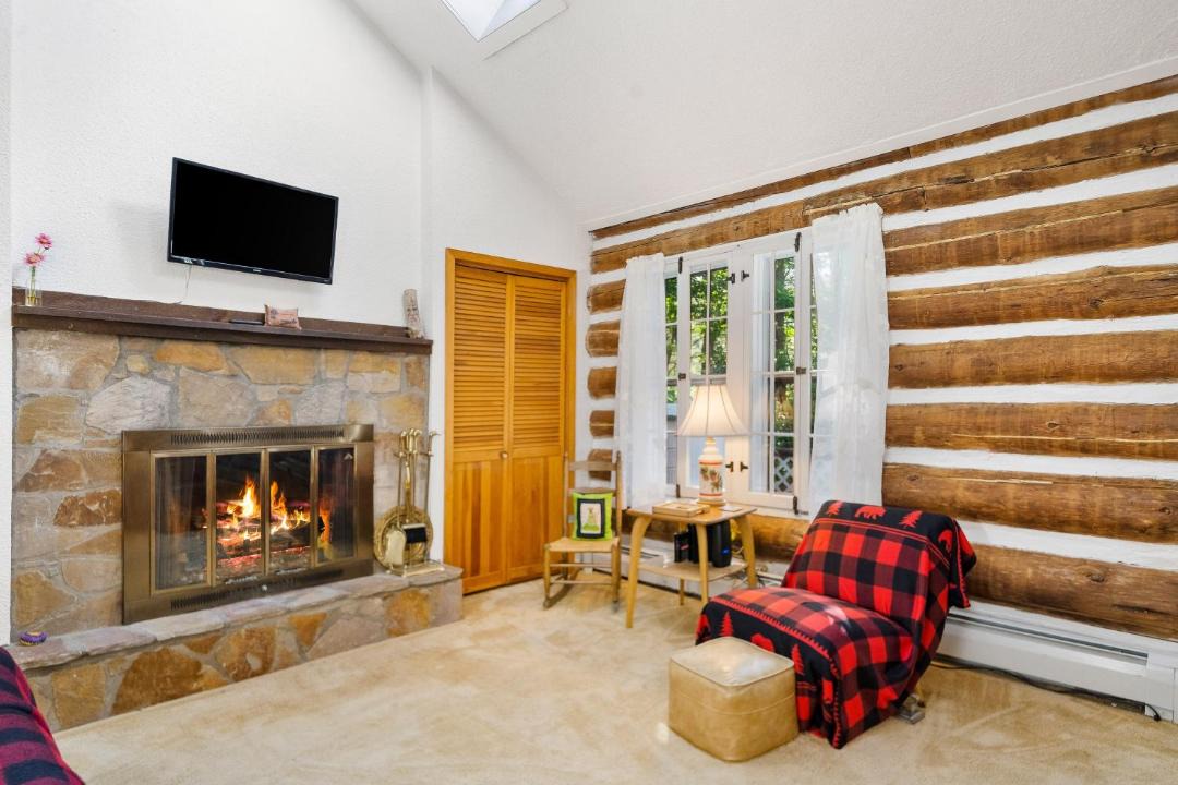 Photo of Livingroom in Chestertown