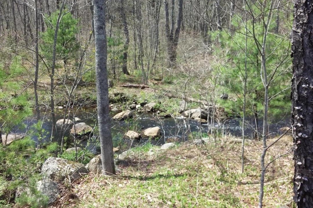 Photo of Others in Barnstead