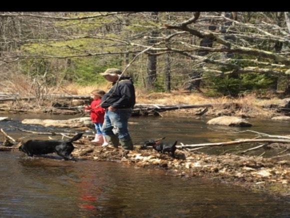Photo of Others in Barnstead
