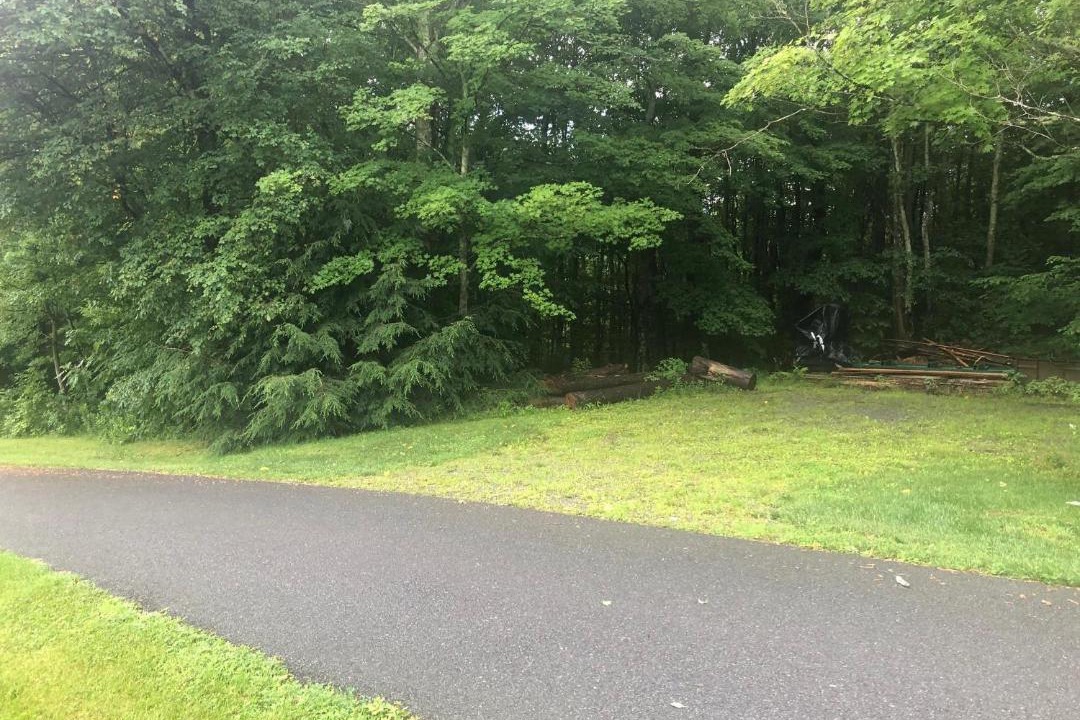 Photo of Others in Williamstown