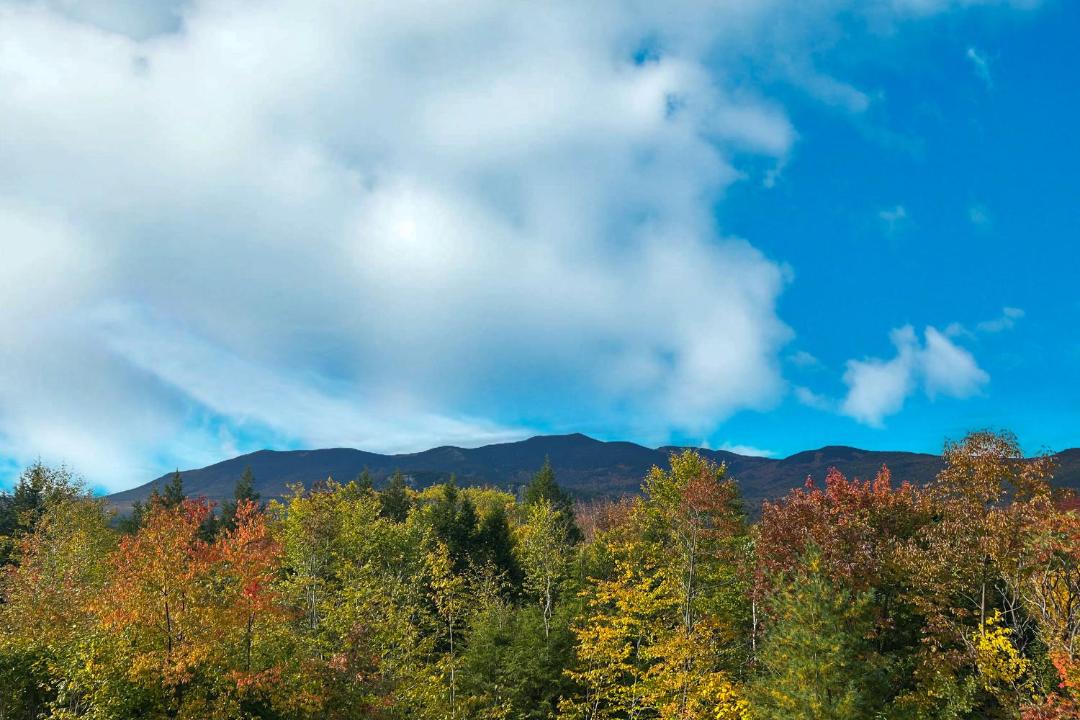 Photo of Outdoor in Intervale