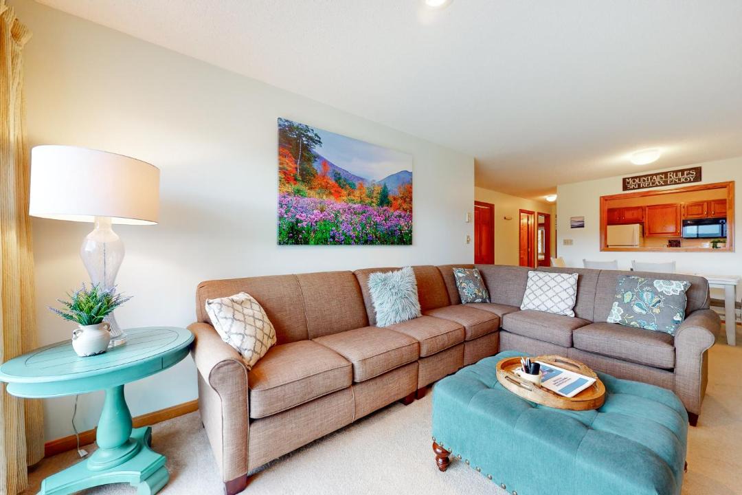 Photo of Livingroom in Intervale