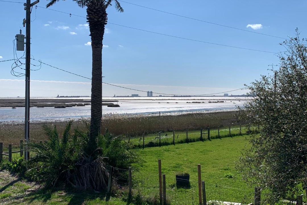 Photo of Others in Galveston