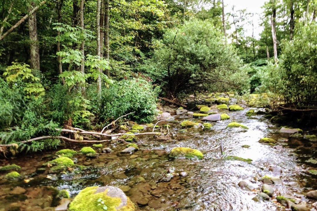Photo of Others in Shandaken