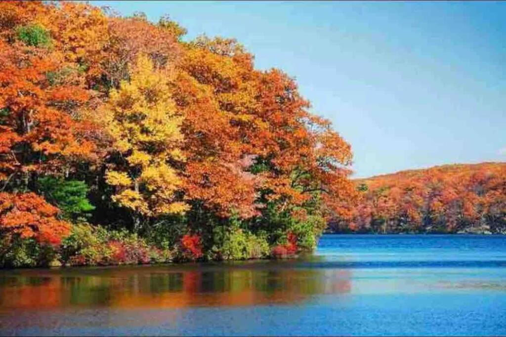 Photo of Outdoor in East Jewett
