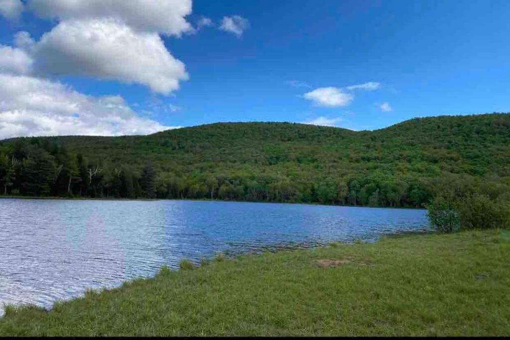 Photo of Outdoor in East Jewett