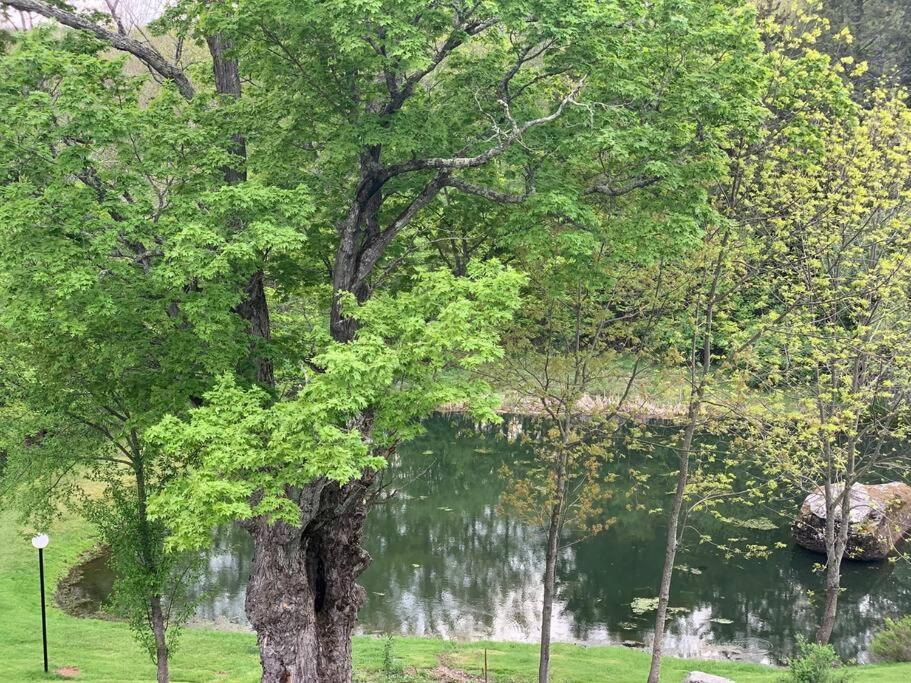 Photo of Outdoor in East Jewett