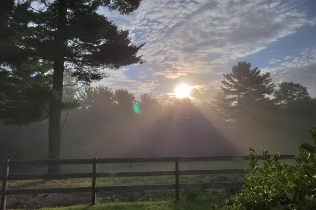 Photo of Others in Belchertown