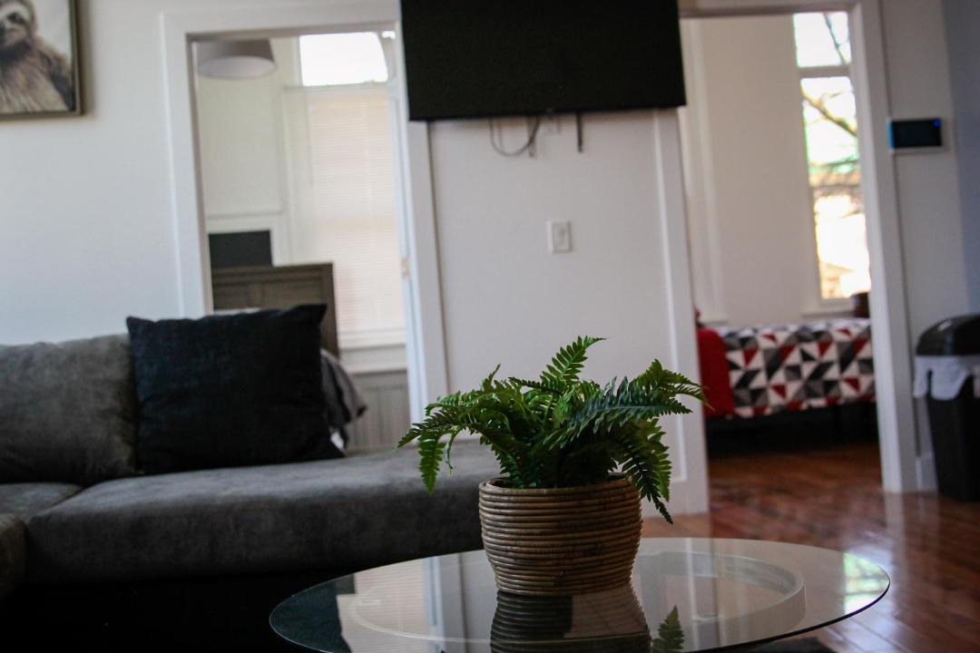 Photo of Livingroom in Newtonville