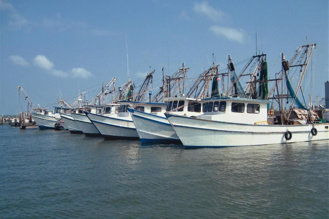 Photo of Others in Fulton