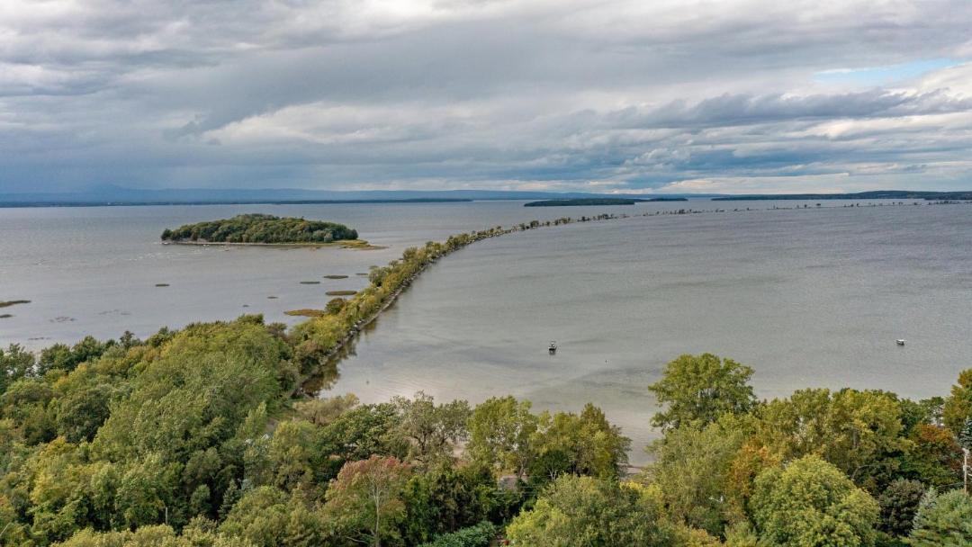Photo of Others in Malletts Bay