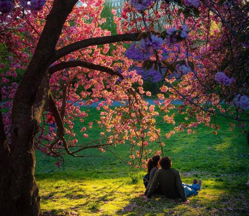 Photo of Others in Central Park West