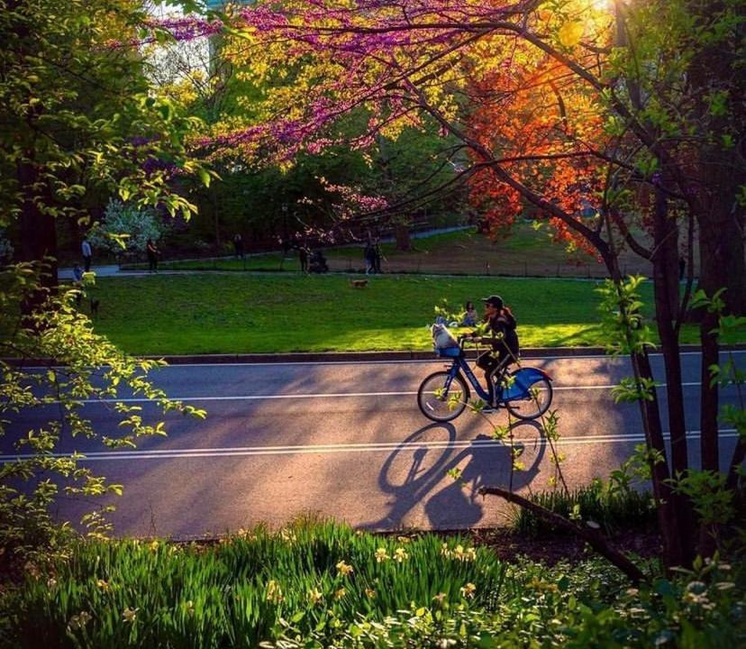 Photo of Outdoor in Central Park West